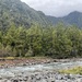 紐西蘭陸均松 - Photo 由 Ben 所上傳的 (c) Ben，保留所有權利