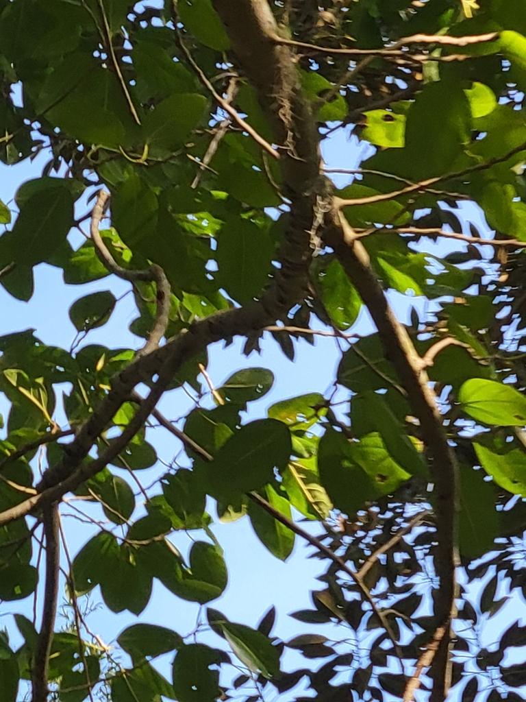 Something from Rowena Gardens, Orlando, FL 32803, USA on February 28