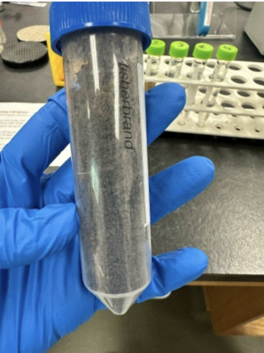 Caulobacter