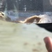 Observation photo