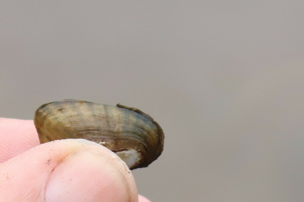 Upper Mucket Mucket from Oil City, PA 16301, USA on May 5, 2024 at 10:55 AM by ...