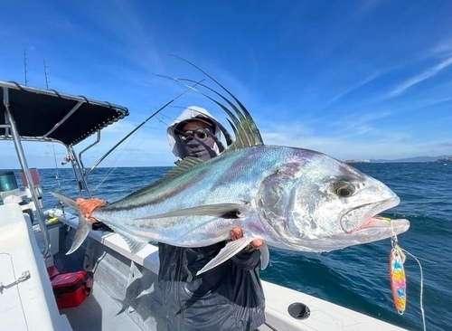 Nematistius pectoralis Gill, 1862