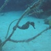 Observation photo