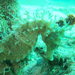 Observation photo