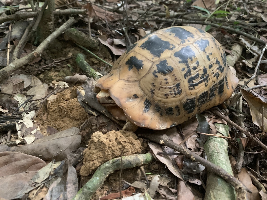Photo by Chiang Mai Base