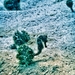 Observation photo