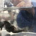 Observation photo