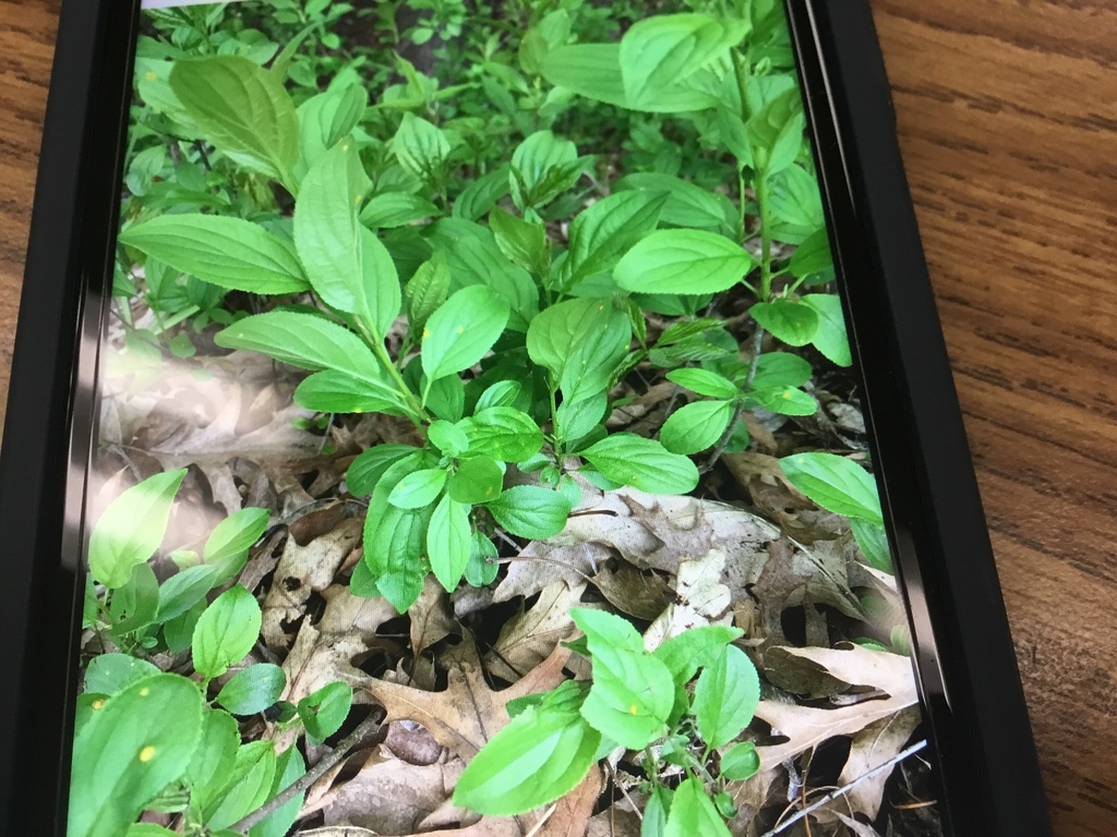 life-from-east-middle-school-plymouth-mn-us-on-may-29-2019-at-03-12