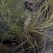 Observation photo