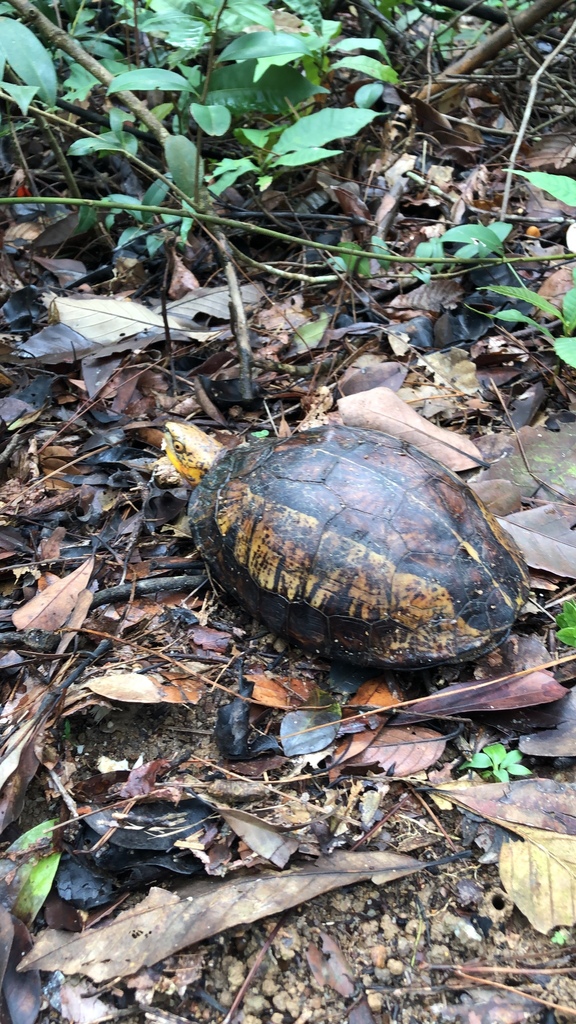 Photo by Ruth Stather