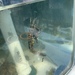 Observation photo