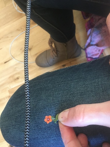 iNaturalist observation photo of scarlet pimpernel