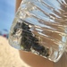 Observation photo