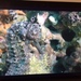 Observation photo