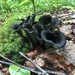 Craterellus fallax - Photo (c) mitchpatti, kaikki oikeudet pidätetään