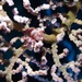 Observation photo