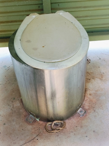 Brown Tree Snake sighting