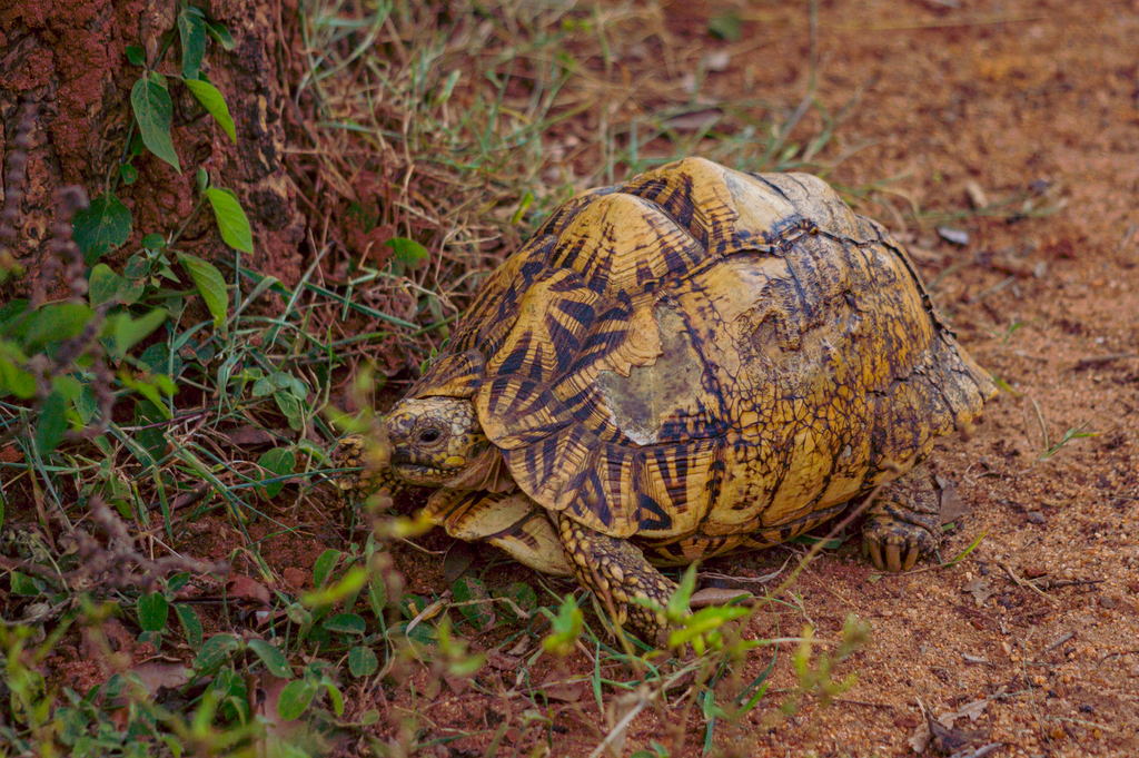 Photo by Dmytro and Elena
