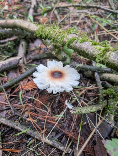 Observation photo