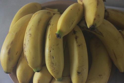 Plantain