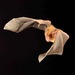 Niceforo's Big-eared Bat - Photo (c) Jose G. Martinez-Fonseca, all rights reserved