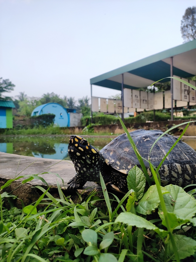 Photo by Sutrishna halder