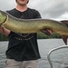 Esox masquinongy immaculatus - Photo (c) Jeremy Gallant, todos los derechos reservados, subido por Jeremy Gallant