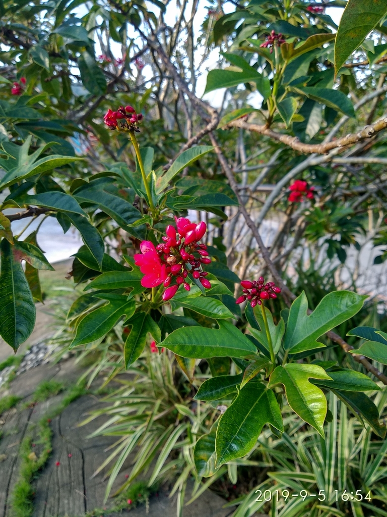 Peregrina from Ponggo, Nagtipunan, Quirino, Philippines on September 5 ...