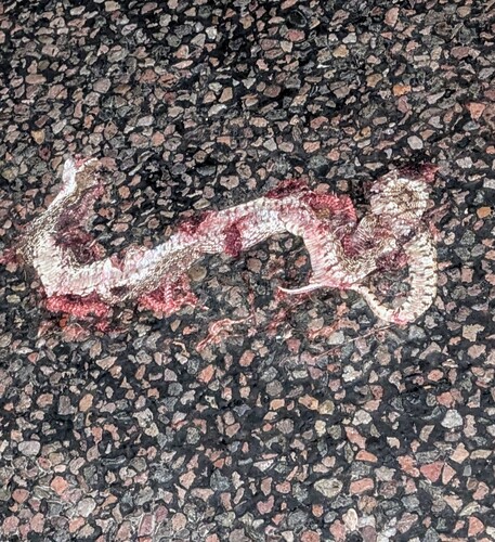 Gopher Snake
