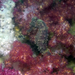 Observation photo