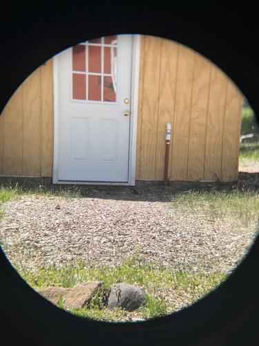 iNaturalist observation photo of Williamson's Sapsucker