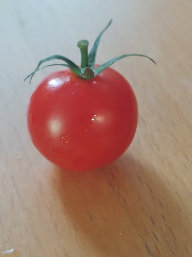 tomato