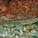 Campbell's Sandgoby - Photo (c) Carol Kwok, all rights reserved, uploaded by Carol Kwok