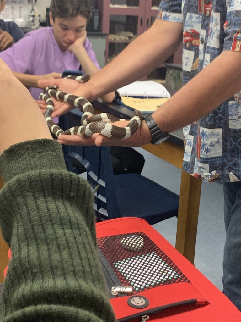 Snakes from dana hills high school dana point ca us on october 17