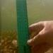 Observation photo