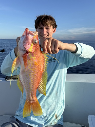 Longtail Bass