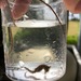 Observation photo