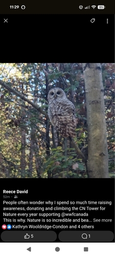 View observation of {o.common_name} on iNaturalist