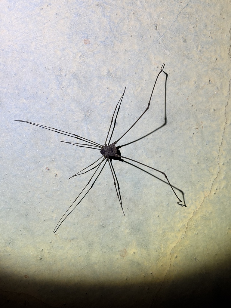 Gryne Rasik Gryne from Lagoa Formosa, MG, BR on September 25, 2025 at 08:39 PM by ...