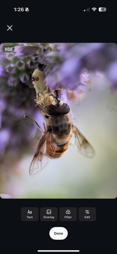 Unknown species found near Hennepin County, US-MN, US