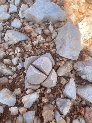 Lapidaria margaretae