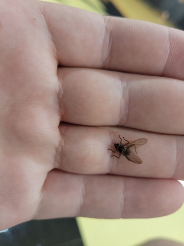 Unknown species found near Croton-on-Hudson