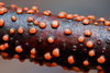 Nectria - Photo (c) František Bednár, all rights reserved, uploaded by František Bednár