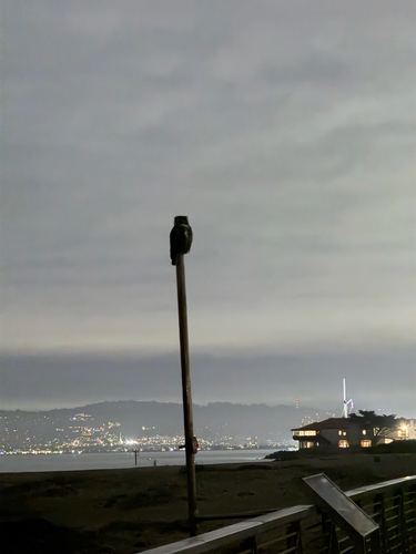 View observation of {o.common_name} on iNaturalist