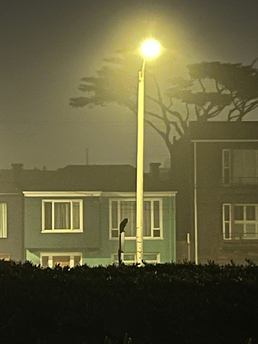 View observation of {o.common_name} on iNaturalist