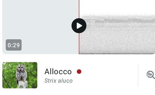 View observation of {o.common_name} on iNaturalist