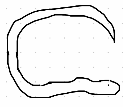 Rottnest Island Dugite sighting