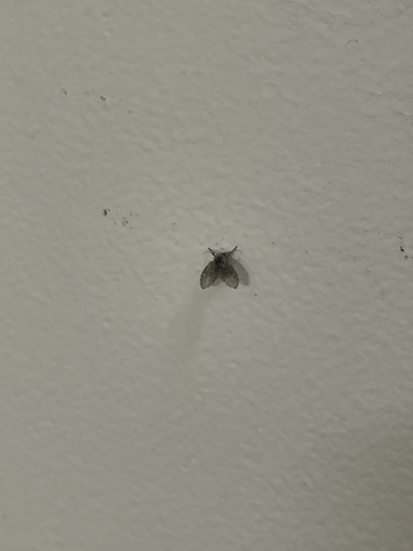 Unknown species found near US-6, Wellfleet, MA, US