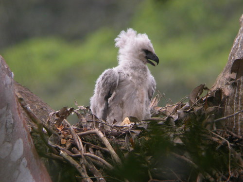Rand Rudland Photo 59877942, (c) Rand Rudland, all rights reserved, uploaded by Rand ...