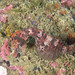 Observation photo